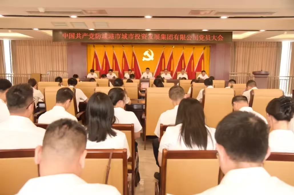市投资集团党委召开党员大会补选党委委员