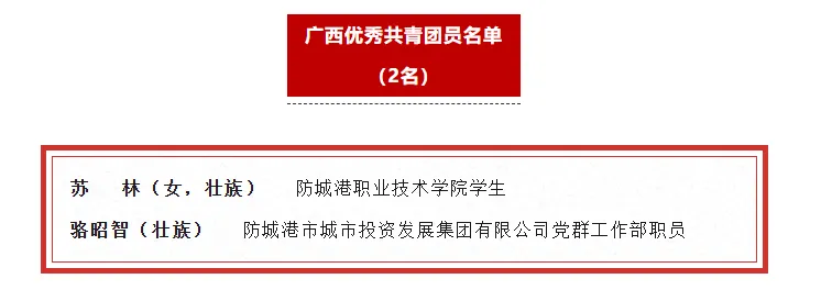 喜报丨市投资集团职工获评“广西优秀共青团员”荣誉称号！